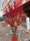 Solid Wood Artificial Red Fruit Tree, Artificial North American Holly Tree, Red Fortune Tree, New Year's Flower, New Year Decoration Artificial Tree