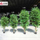Artificial Plants, Simulated Banyan Trees, Green Plant Pots, Office and Hotel Landscape Fake Banyan Tree Ornaments, Potted Plants Wholesale