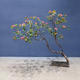 Simulated Island Spring Flower Tree Display Window Indoor Greenery Office Staircase Decoration Landscaping Ornaments Plant Landscape Artificial Tree