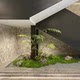 Artificial Golden Fern Potted Plant with Zen-Inspired Landscaping, Floor-Standing Monkey Head Fern Bonsai, Indoor Decoration, Faux Tree, Artificial Green Plant
