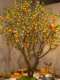Artificial Orange Tree for Indoor and Outdoor Decoration, New Chinese-Style Fake Tree, Pomegranate Tree, Large Green Plant for Landscaping, Zen-Inspired Soft Decoration for Display Windows