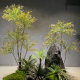 Simulated Nandina Bamboo Plant Decoration, Large Artificial Tree, Floor-Standing Potted Green Plant, Home Living Room Decoration, Nordic Style Bonsai