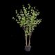 Potted Bellflower Plant Japanese Camellia Tree Plant Nordic Style Plant Decoration for Living Room Large Artificial Green Plant