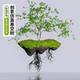 Hanging Suspended Artificial Tree for Entryway Decoration, Indoor Landscape Hanging Ornament, Faux Biotic Plant Space Decoration