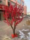 Solid Wood Artificial Red Fruit Tree, Artificial North American Holly Tree, Red Fortune Tree, New Year's Flower, New Year Decoration Artificial Tree