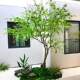Artificial Bellflower Tree, Large Japanese Green Plant for Interior Design, Window Display, Horsewood, Nordic Nis Style Decorative Fake Tree