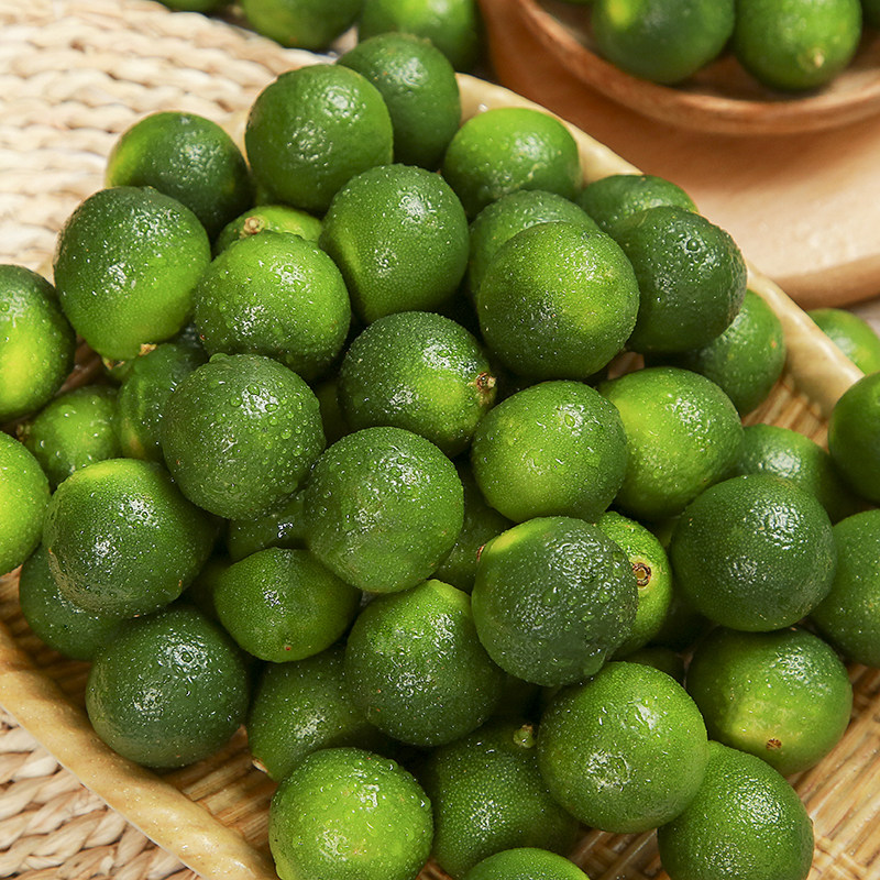 海南新鲜青金桔:当季现摘的小青橘子,柠檬般的清新,奶茶店必备!-桔子-淘宝百科网