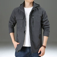 811 Grey-Spring и осень