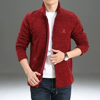 3587 Jujube Red-Spring и осенняя складка