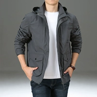 8593 Grey-Spring и осень