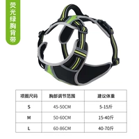 Флуоресцентная зеленая грудь спина