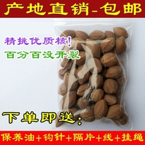 Olive nucleus original seed big iron nucleus raw material string is round garlic head oversized hand string big seed original skin Zhouzheng round nuclear red oil