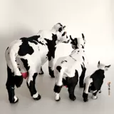 Монгольские этнические ремесла меньшинства, ресторан отель отель интерьер