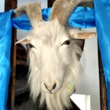 Монгольские ремесла для овец подвеска Большой овечьей рог.