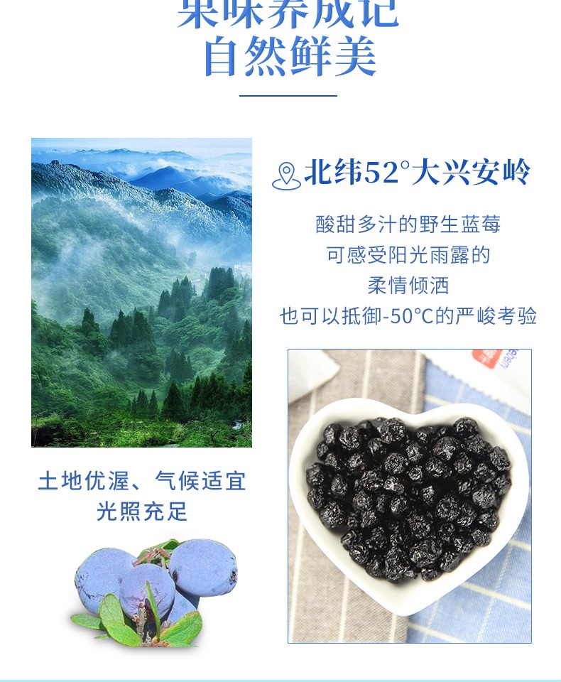 蓝莓干500g装无添加零食小包装