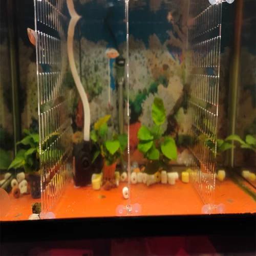 Акриловая доска аквариума, перегородка, небольшая сеточная плата прозрачная рыба