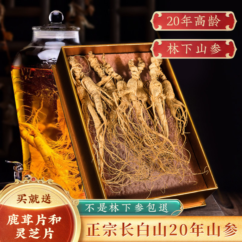 Ginseng Changbai Mountain wild Mountain ginseng Lower part of the Northeast Special production Lin Lower Mountain ginseng Bubble wine dry goods Gift Boxes 20 Adults Three 