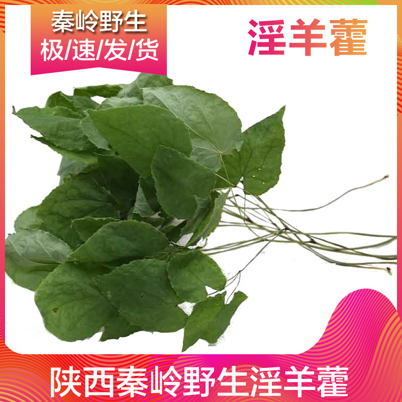 Chinese Herbal Medicine Masturbin 250g Wild Wort Leaf Non 500g Bubble Water Tea Dodder Cistanche cistanche Lock Yang Powder