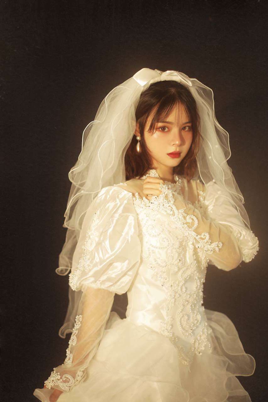 Antique Vintage Bubble Sleeve High Neck Wedding Dress Long Sleeve Cake Skirt Lace Nail Bead Melaleuca Heavy Industry vintage Long Sleeve