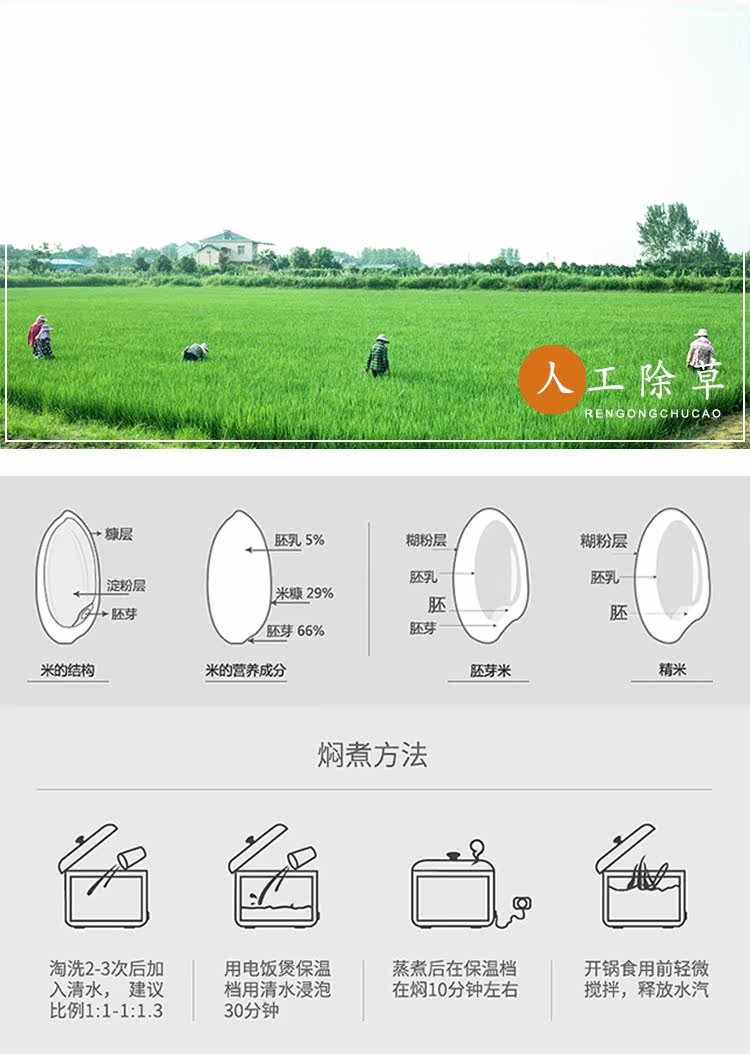 枝滋有味 湖北枝江长粒香 10斤 生态种植 虾稻共生 图7