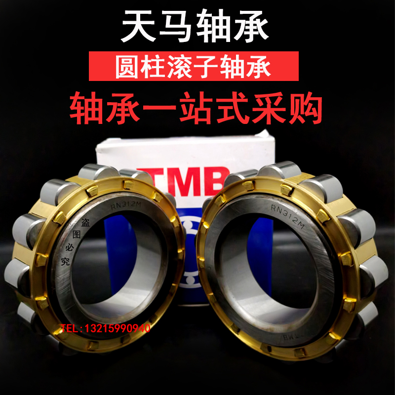 TMB Tianma Cylindrical Eccentric Roller Reducer Cycloidal Bearing RN321 RN321 RN322 RN328M RN328M WY