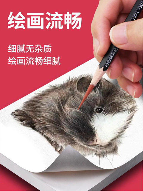 Marley brand professional color charcoal pencils for art students white black red light dark brown brown flesh color gray olive green portrait sketch charcoal pencil hand painting set