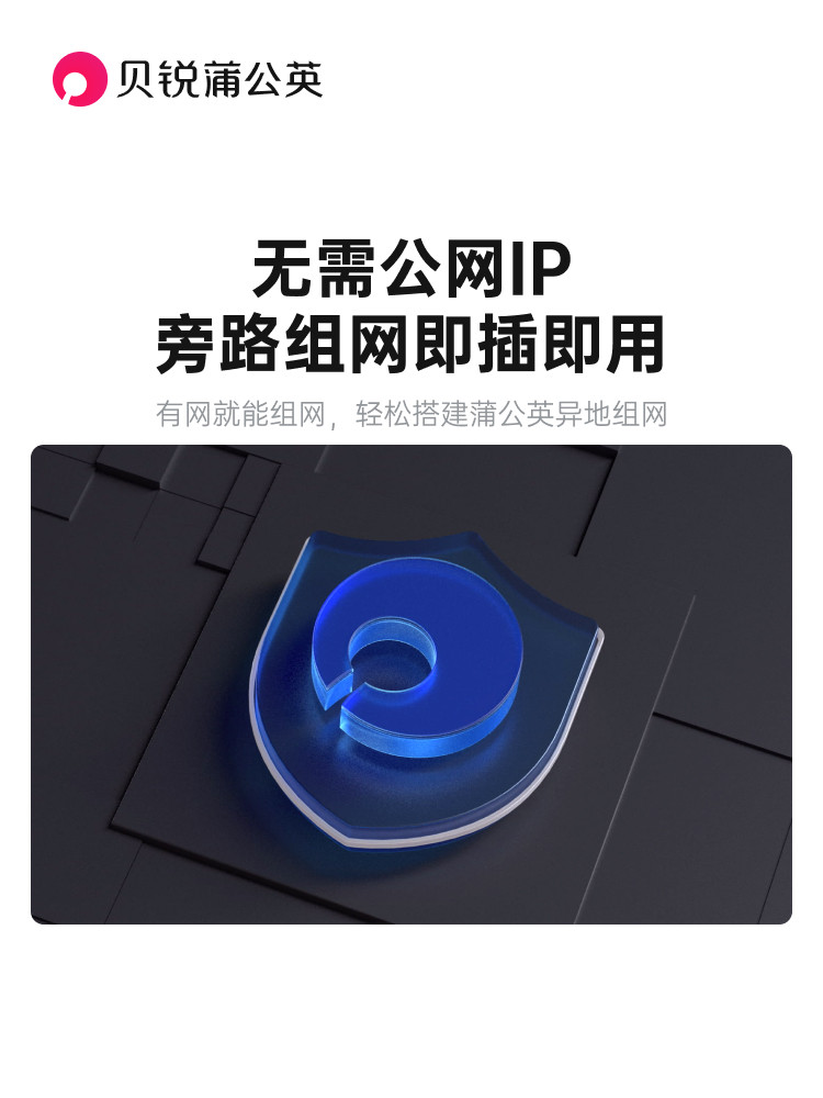 Dandelion X1 Private Cloud Box for Remote Networking Nas Companion, Intranet Penetration, Mobile Hard Drive to Cloud Disk, Router Without Public Ip, Local Area Network Remote Access, Plc Network Storage for Home Use