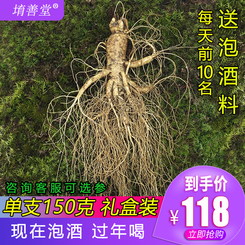 Fresh ginseng fresh Changbai Mountain big can be vacuum-packed non-wild ginseng fresh-keeping ginseng soup and wine 150g