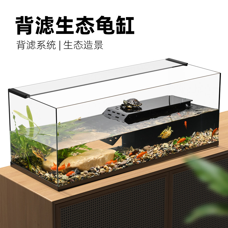 Back filter ecological turtle tank
