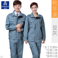 Осенняя и зимняя ясен