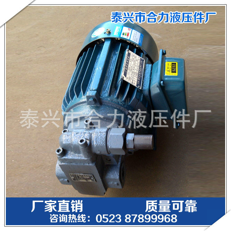 BB-B6Y 10Y16Y 25Y 40Y 63Y cycloid pump direct connection cycloid oil pump motor device
