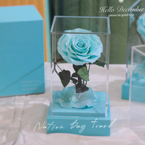 Fashion square acrylic little prince glass cover rose immortal peanut day Valentines Day send girlfriend bedroom ornaments