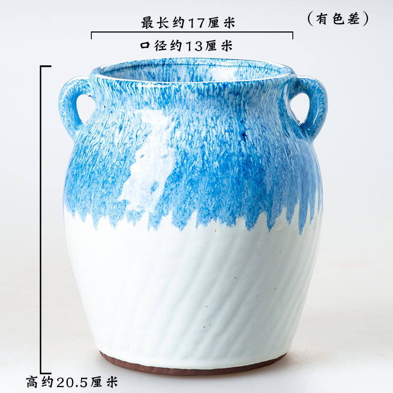 Fleshy flower pot through pockets tao old running the meaty plant purple orchid rose to heavy ceramic POTS mage flowerpot
