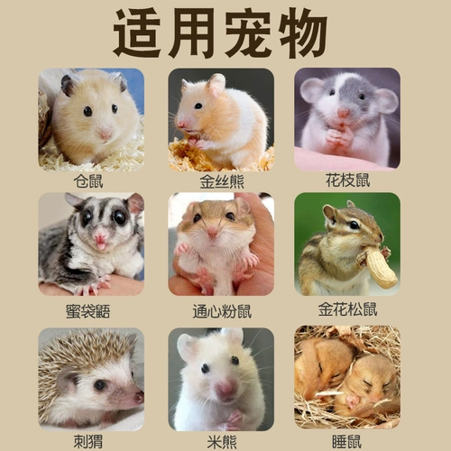 Клетка для хомяка, маленькая вилла с золотым медведем, роскошная акриловая прозрачная коробка, защита от грызения, защита от взлома, легко чистится, специальная