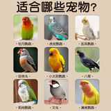 Игрушка, качели, лестница, избавление от скуки, можно грызть, антистресс, умеет карабкаться