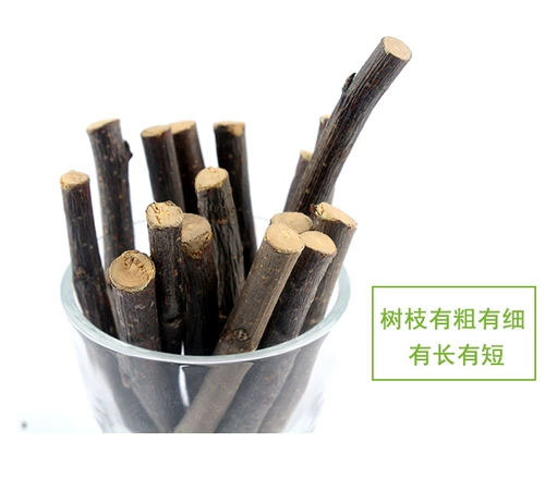 Хомяк шлифовальный стержень яблоки ветви питания закуски, филиалы, кролики, набор игрушек с голландской свининой по соседству