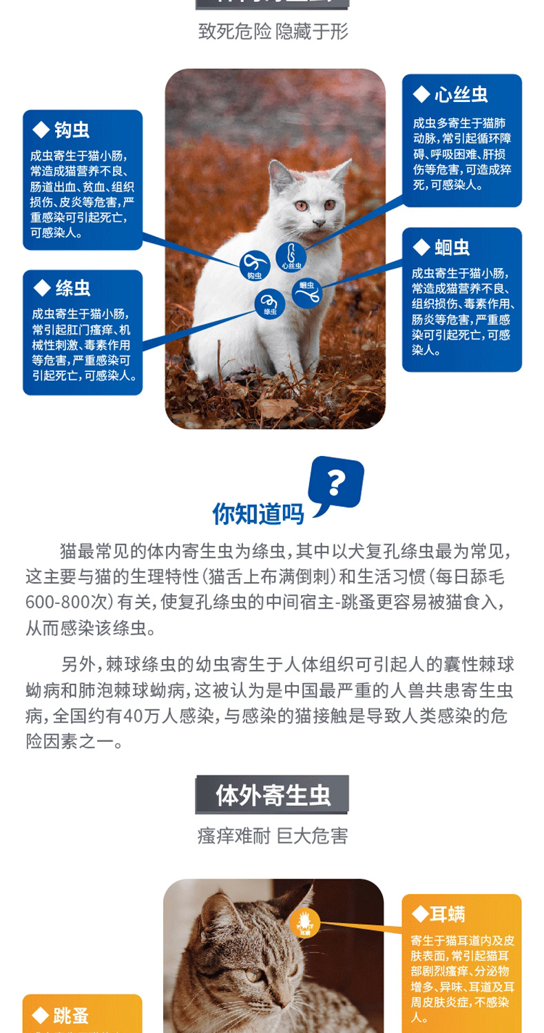 Mèo biển Le Miao diệt côn trùng cơ thể ngoài việc nhảy ve con mèo con mèo in vitro với 2-8kg thành một con mèo - Cat / Dog Medical Supplies máy siêu âm chó mèo