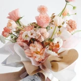 Цветы, поглощающие красительский агент розы, звездный макарон, раскраска