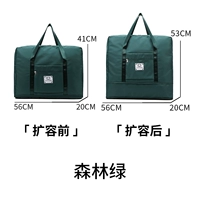 [Извлечение внизу] лесной зеленый