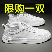2020 Spring mens new trendy fashion casual 100 hitchhiking shoes comfortable and breathable low-help flat bottom small white shoes