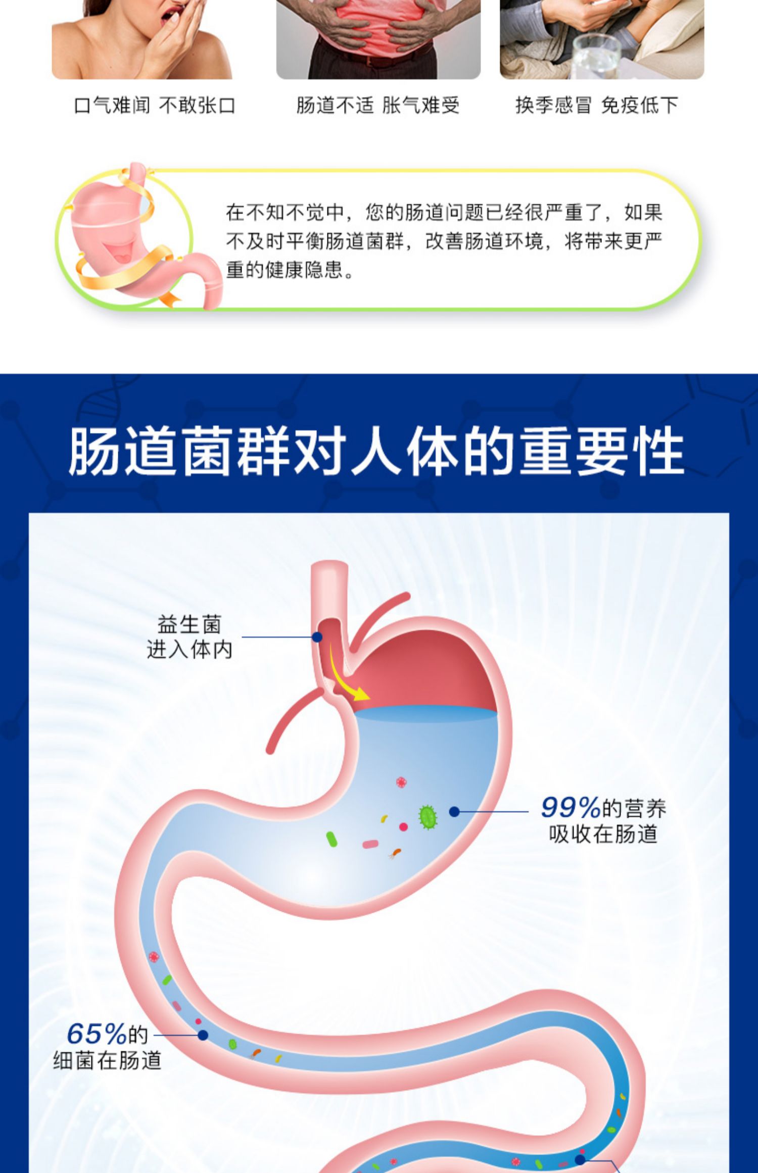 【第二件0元】活性益生菌胶囊60粒*2瓶