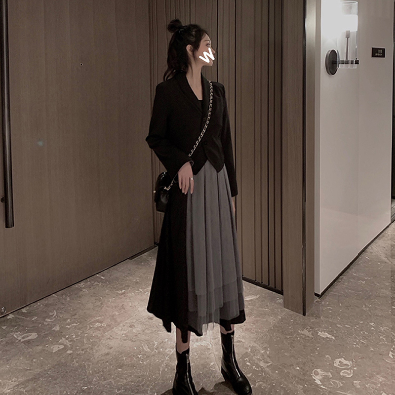 Early spring fashion style fashion temperament machine dress super cactus long version skirt mature chic tide