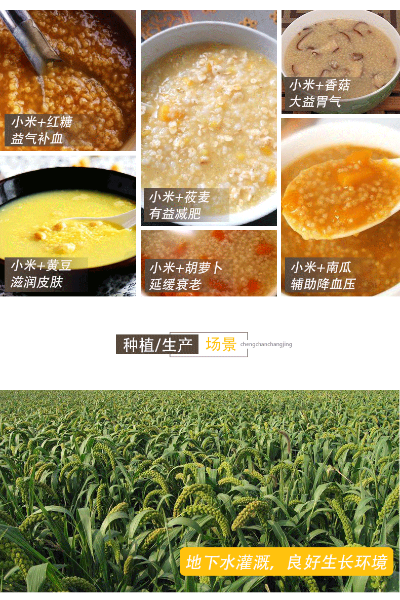 曲侯 胚芽黄小米 500g*5包 图8
