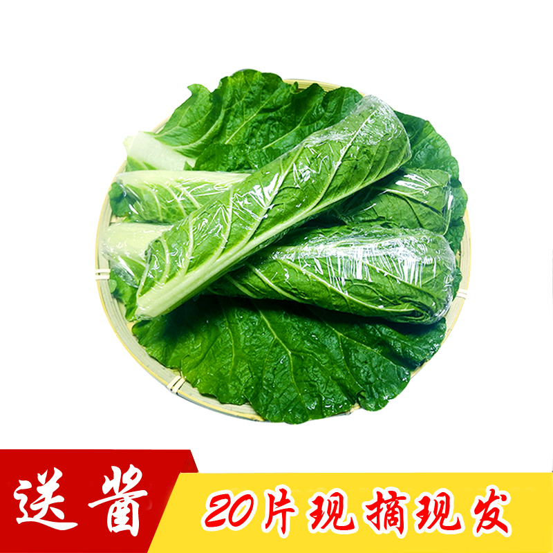 Meal Bag Vegetable Leaves Northeast Great Cabbage Leaves Ready-to-eat Jam Vegetable Cabbage Leaf Meal Kits Fresh