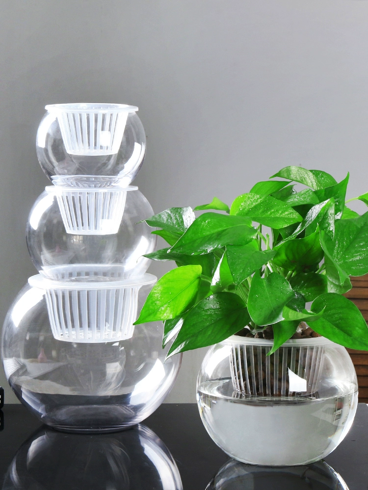 Cây thủy canh sáng tạo bình thủy tinh trong suốt hộp đựng thì là xanh chậu nước chậu hoa tròn hình cầu nhỏ đồ dùng bể cá - Vase / Bồn hoa & Kệ