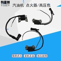 Petrol Engine Generator Accessories Ignitor Coil 152F168170F190F2KW-8KW Ignitor High Pressure Bag