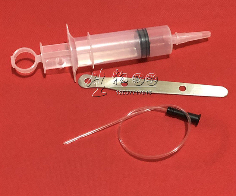 Rabbit gavage device, gavage tube, stainless steel mouthpiece, rabbit gavage cannula, pet cat and dog gavage set