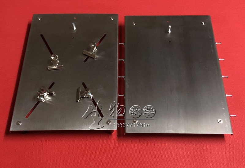 Stainless steel rat surgical table rat anatomy plate mice surgical table rat fixed platform frogplate experiment
