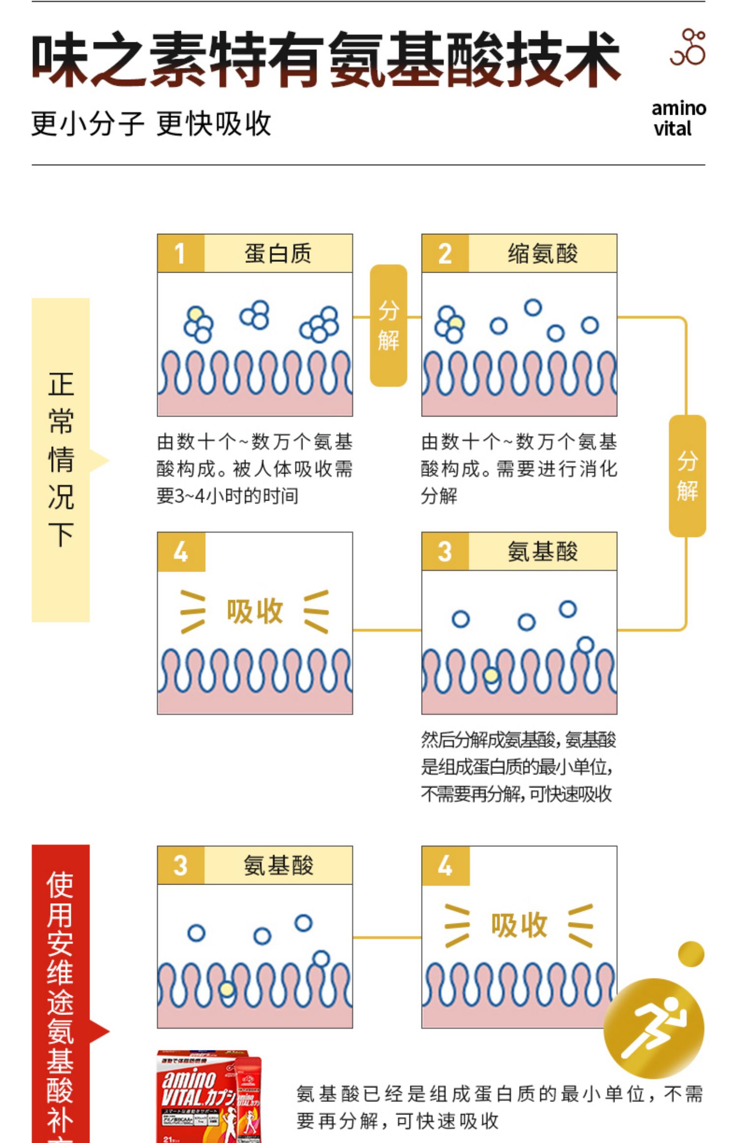 味之素安维途辣椒素氨基酸26支