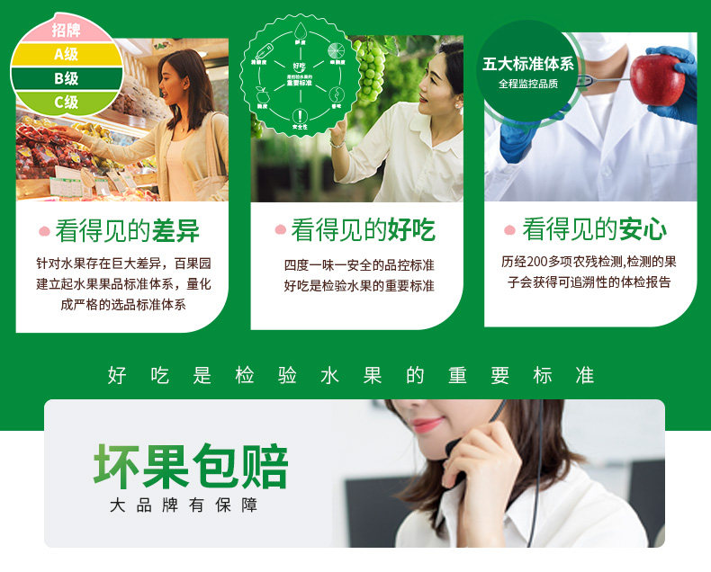 瓜中贵族 百果园 海南玫珑蜜瓜 2个装 净重4斤以上 图7